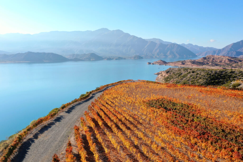Entre Vinos y Montañas